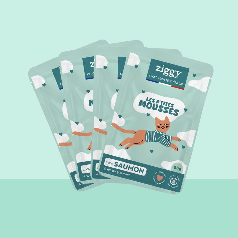 Sachet de mousse Ziggy pour chat stérilisé sans céréales au saumon, 85 g, sur fond turquoise
