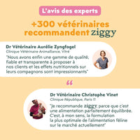 Avis des experts sur les mousses Ziggy pour chat stérilisé au poulet : plus de 300 vétérinaires recommandent Ziggy