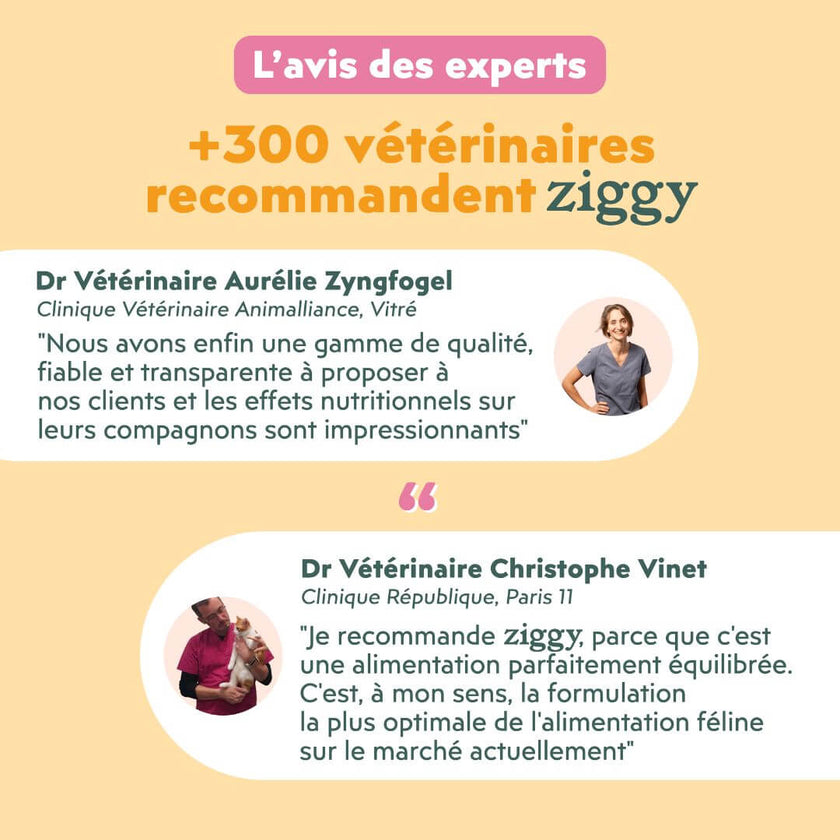 Avis des experts sur les mousses Ziggy pour chat stérilisé au poulet : plus de 300 vétérinaires recommandent Ziggy