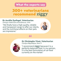 Expert opinions on Ziggy mousses for sterilised cats with chicken: 300+ veterinarians recommend Ziggy