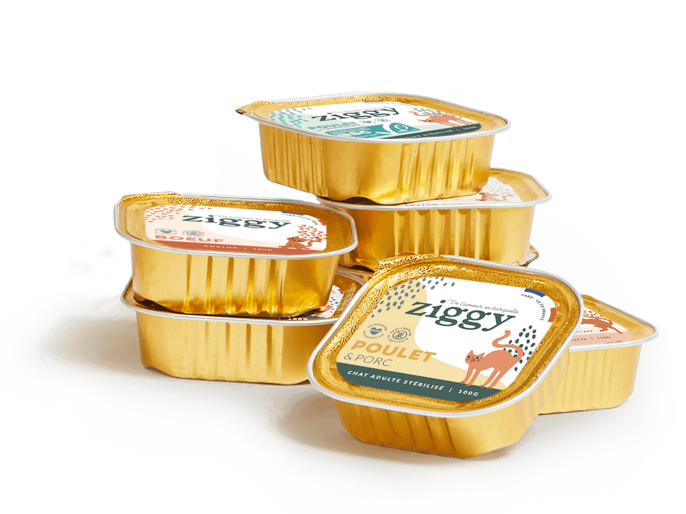 Barquettes de pâtées pour chat sans céréales