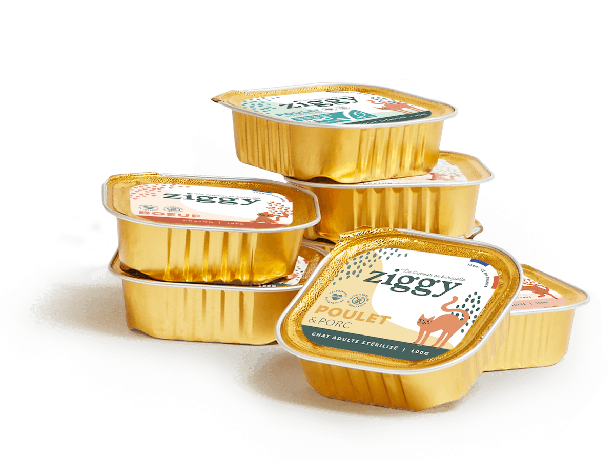 Barquettes de pâtées pour chat sans céréales