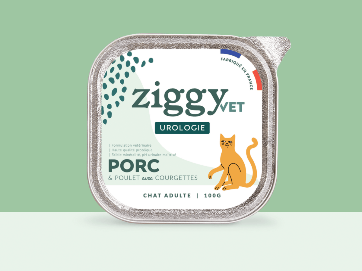 La pâtée Ziggy pour les chats souffrant de troubles urinaires