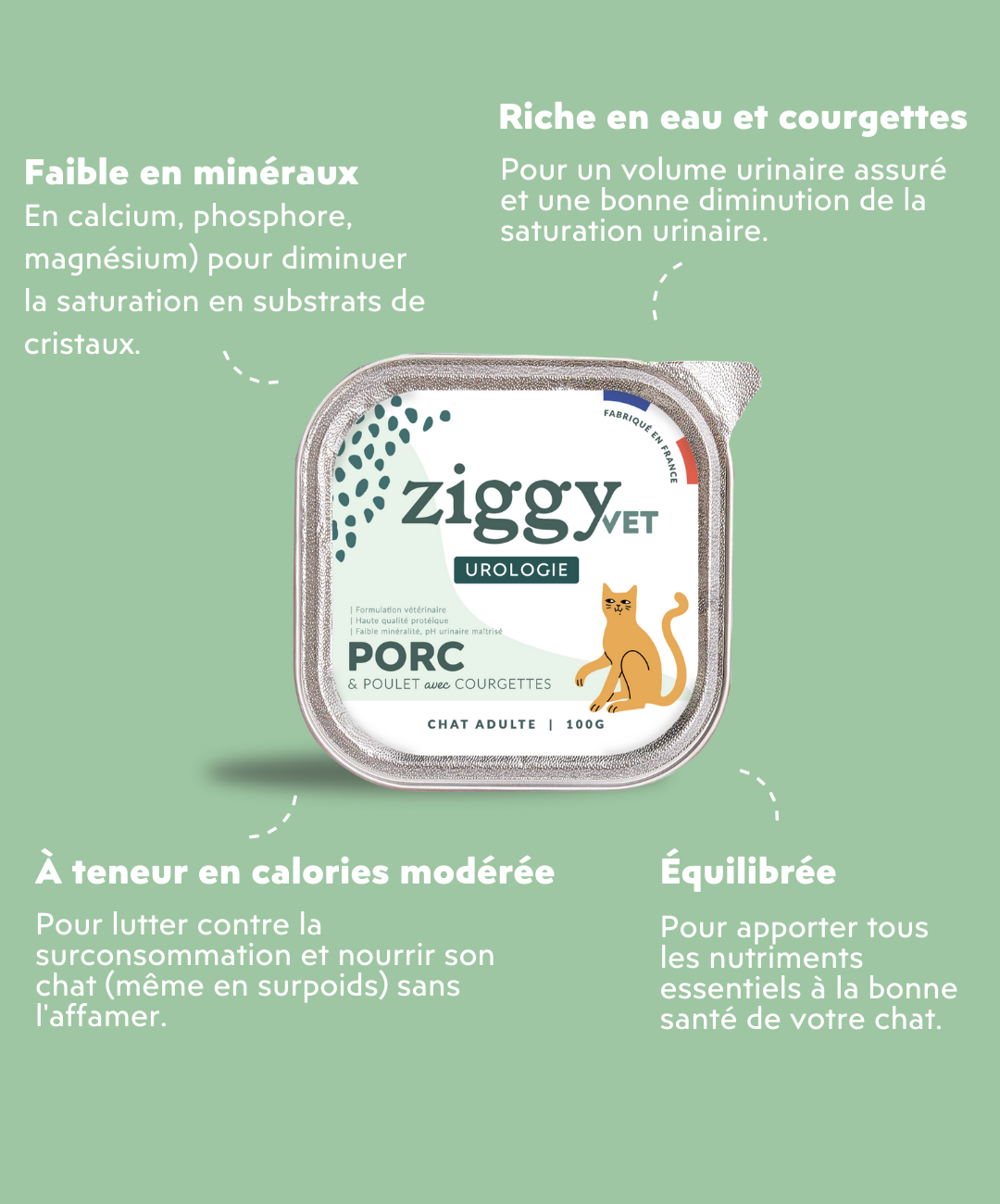 Les spécificités de la pâtée Ziggy pour les chats souffrant de problèmes urinaires