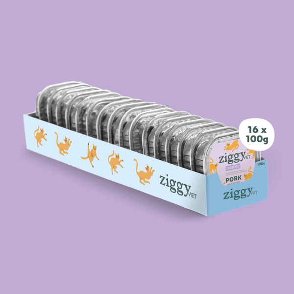 Barquette de 100g de pâtées Ziggy pour chat adulte souffrant de diabète, saines et sans céréales