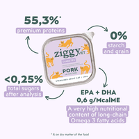 Ziggy Diabetic Wet Food for cats, 16×100g pouches – diabetes support wet food package