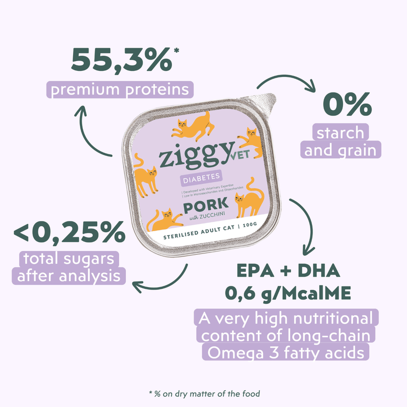 Ziggy Diabetic Wet Food for cats, 16×100g pouches – diabetes support wet food package