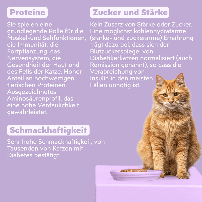 Zutatenliste von Ziggy Nassfutter für Katzen mit Diabetes, aus natürlichen Zutaten