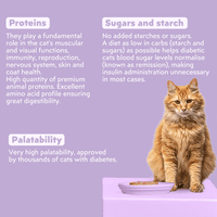 Ziggy Diabetic Wet Food for cats, 16×100g – ingredients and nutritional composition, diabetes support formula