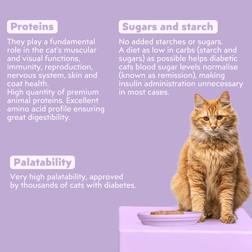 Ziggy Diabetic Wet Food for cats, 16×100g – ingredients and nutritional composition, diabetes support formula