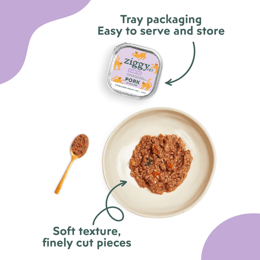 Ziggy Diabetic Wet Food for cats served in a bowl – diabetes support pâté texture