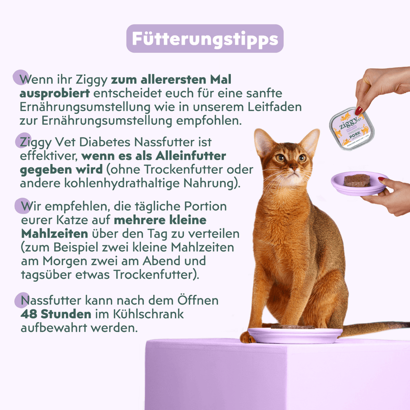 Katze genießt Ziggy Nassfutter für Katzen mit Diabetes
