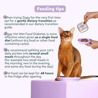Hand holding a pouch of Ziggy Diabetic Wetfood for cats, 16×100g – diabetes support
