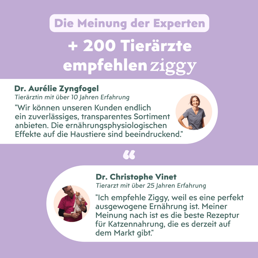 Von Tierärzten empfohlenes Ziggy Nassfutter für Katzen mit Diabetes