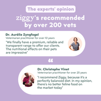 Veterinarian-recommended Ziggy Diabetic Wet Food for cats – vet-approved diabetes support