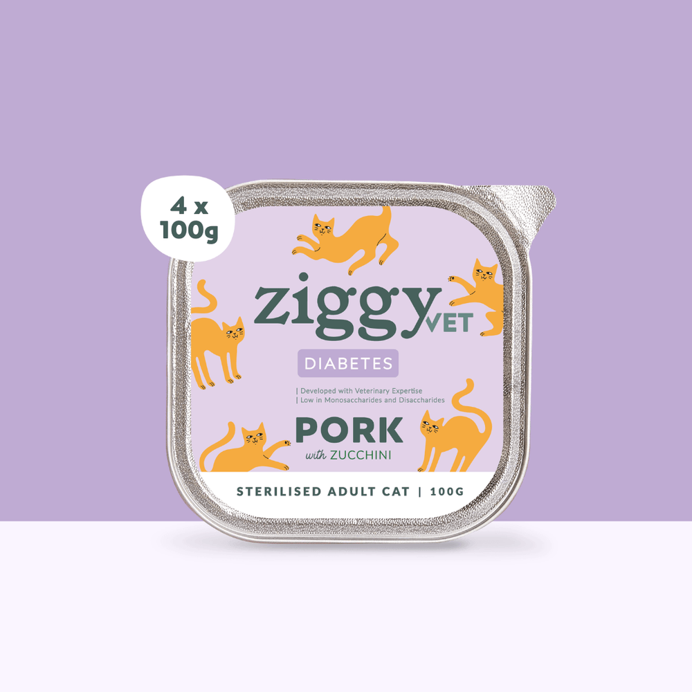 Boite de 4 pâtées Ziggy Vet de 100g pour chat adulte souffrant de diabète