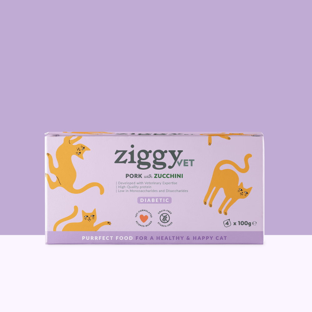 Boite de 4 pâtées Ziggy Vet de 100g pour chat adulte souffrant de diabète