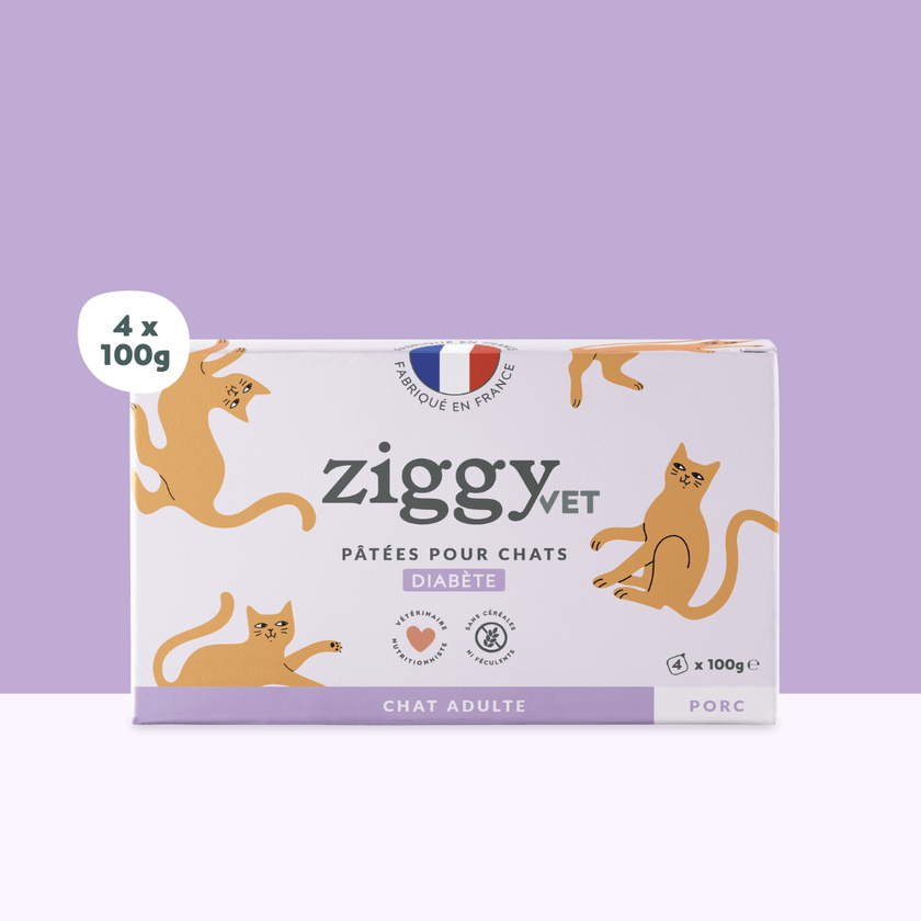 Boite de 4 pâtées Ziggy Vet de 100g pour chat adulte souffrant de diabète