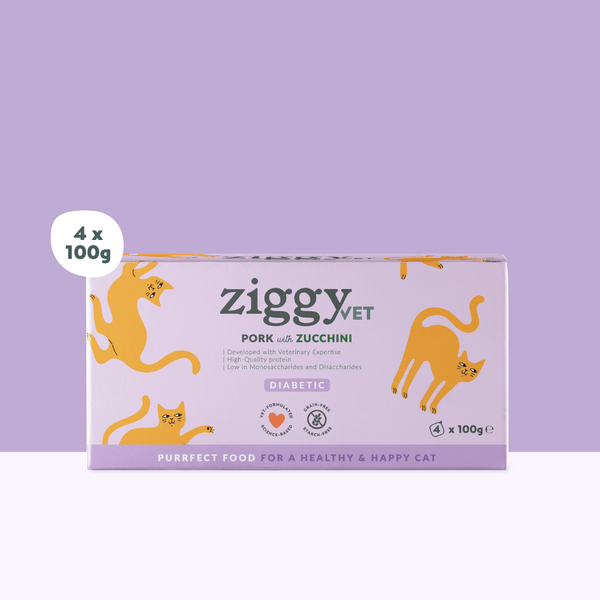 Barquette de 100g de pâtées Ziggy pour chat adulte souffrant de diabète, saines et sans céréales