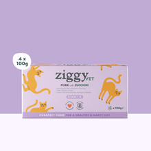 Ziggy Diabetic Wet Food for cats, 4×100g pouches – 2-pack quantity option, diabetes support