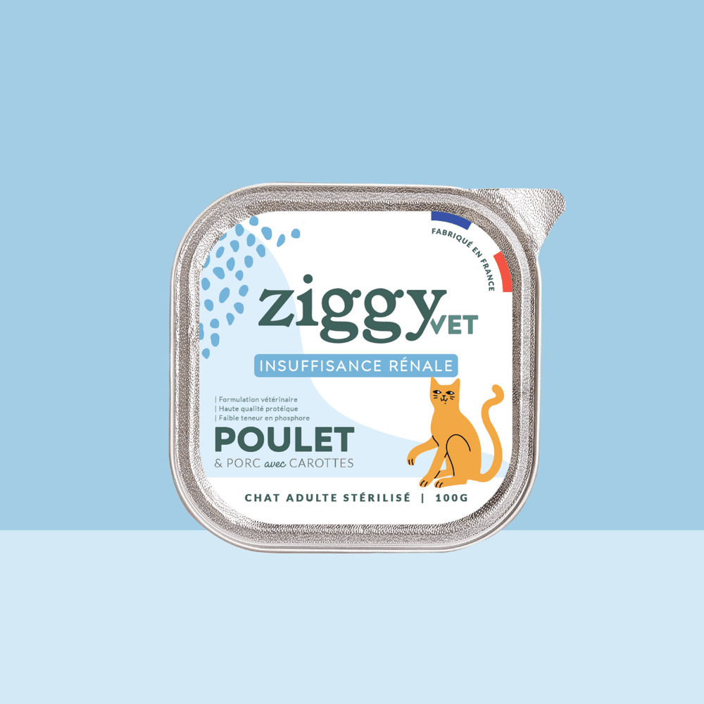Barquette de 100g de pâtée Ziggy Vétérinaire pour chat adulte IRC insuffisance rénale chronique