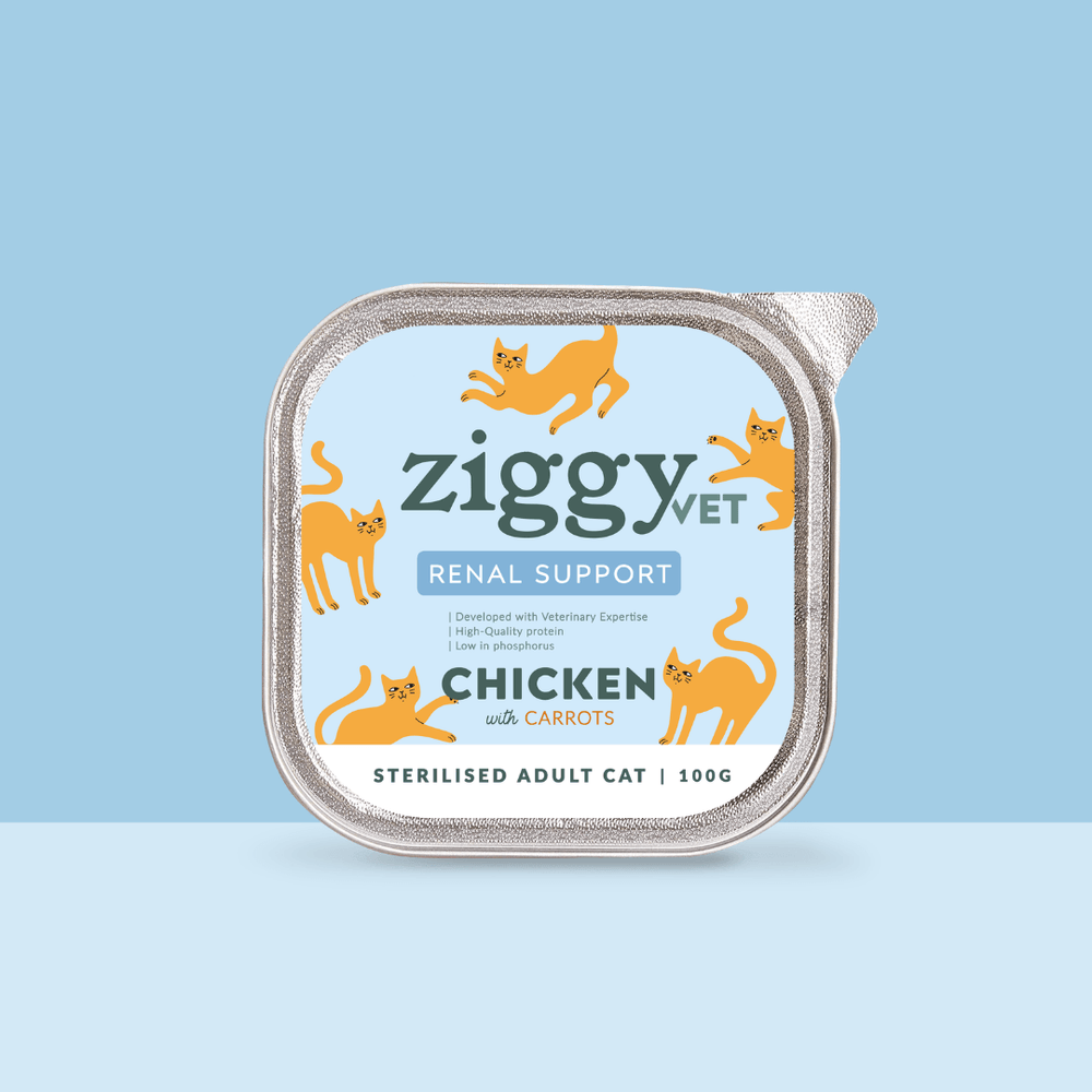 Barquette de 100g de pâtée Ziggy Vétérinaire pour chat adulte IRC insuffisance rénale chronique