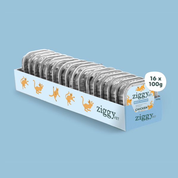 Barquette de 100g de pâtée Ziggy Vétérinaire pour chat adulte IRC insuffisance rénale chronique
