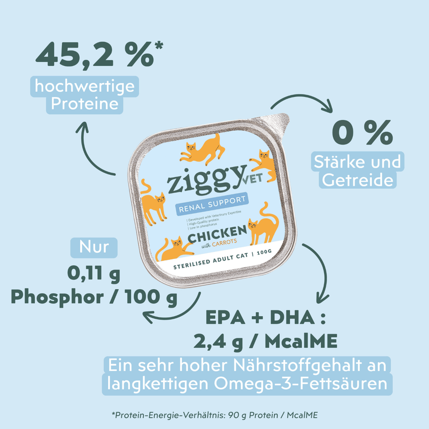 Fütterungsempfehlung für Ziggy Nieren-Nassfutter für Katzen