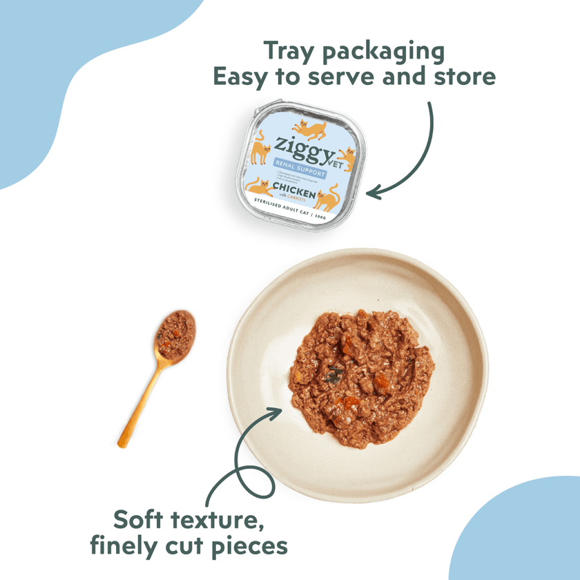 Ziggy Renal Wet food for cats served in a bowl – kidney support pâté texture