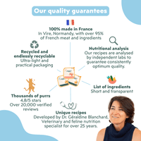 How Ziggy Renal Wetfood supports cats with kidney disease – benefits diagram