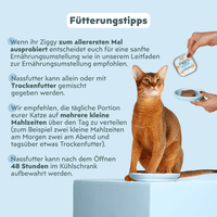 Katze genießt Ziggy Nieren-Nassfutter