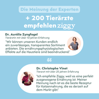 Von Tierärzten empfohlenes Ziggy Nieren-Nassfutter für Katzen