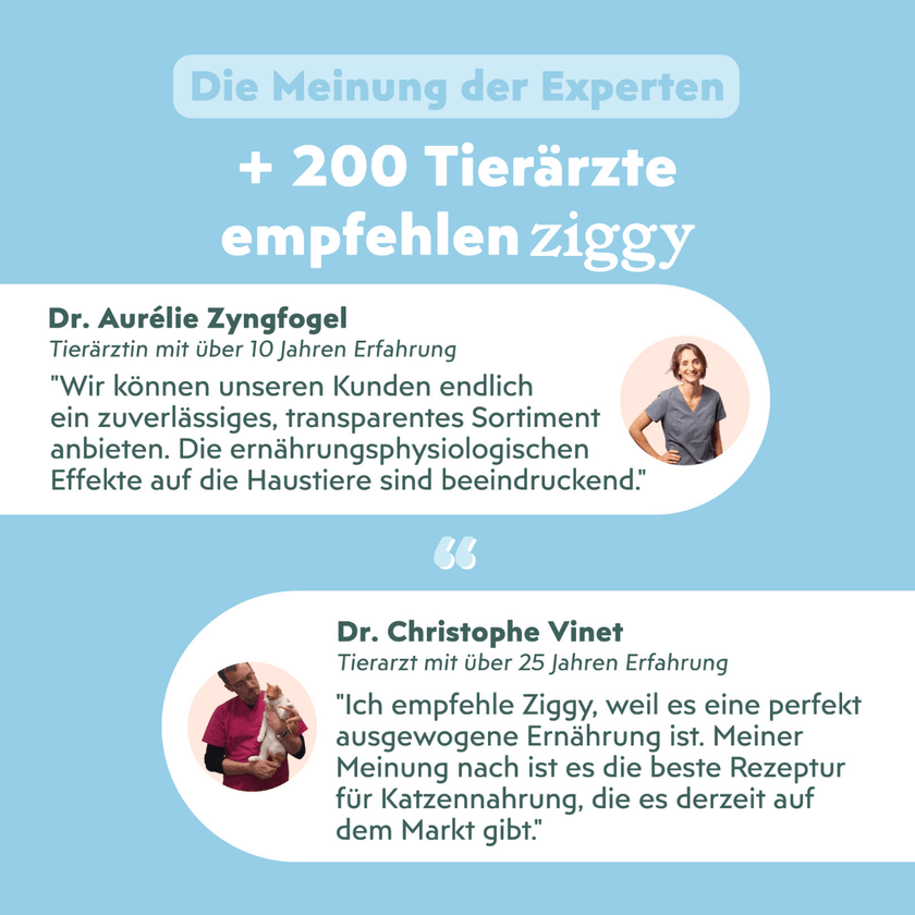 Von Tierärzten empfohlenes Ziggy Nieren-Nassfutter für Katzen