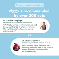 Veterinarian-recommended Ziggy Renal Wetfood for cats – vet-approved kidney support