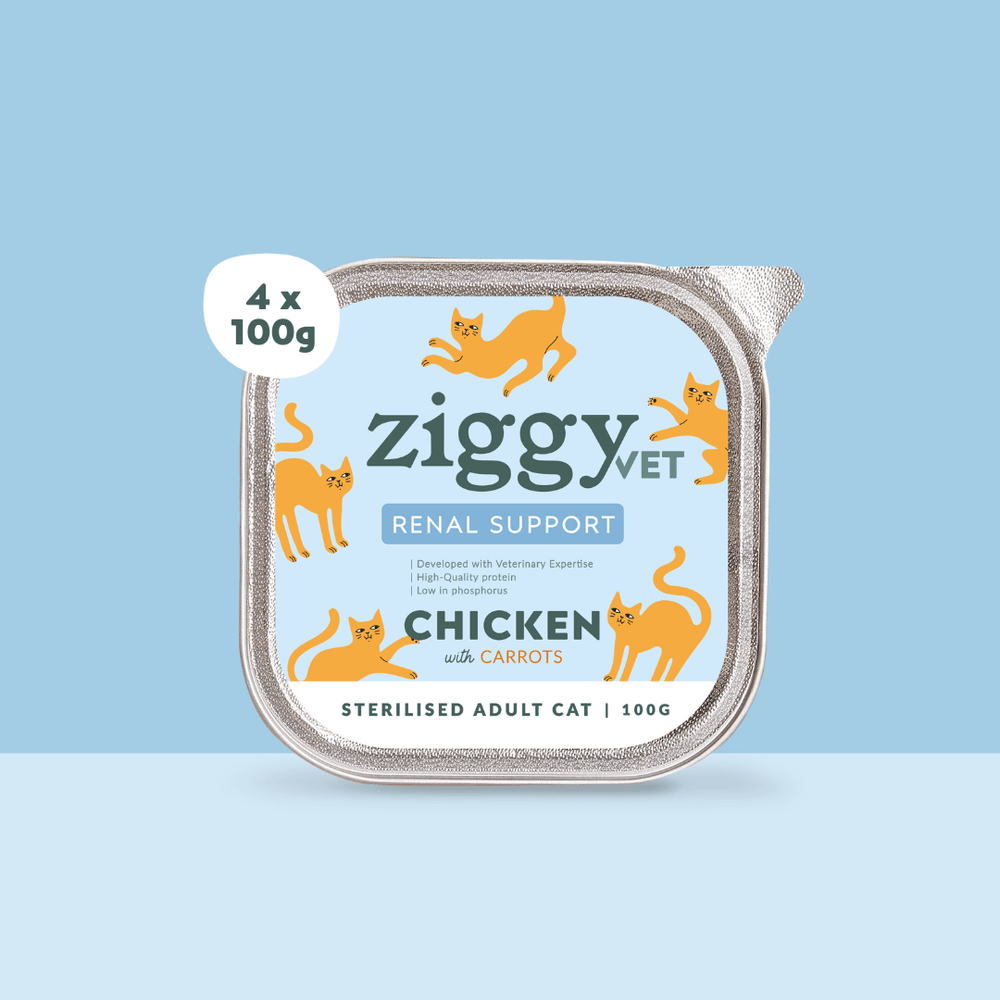 lot de 4 pâtées de 100g Ziggy Vet pour chat adulte souffrant d'IRC (insuffisance rénale chronique)