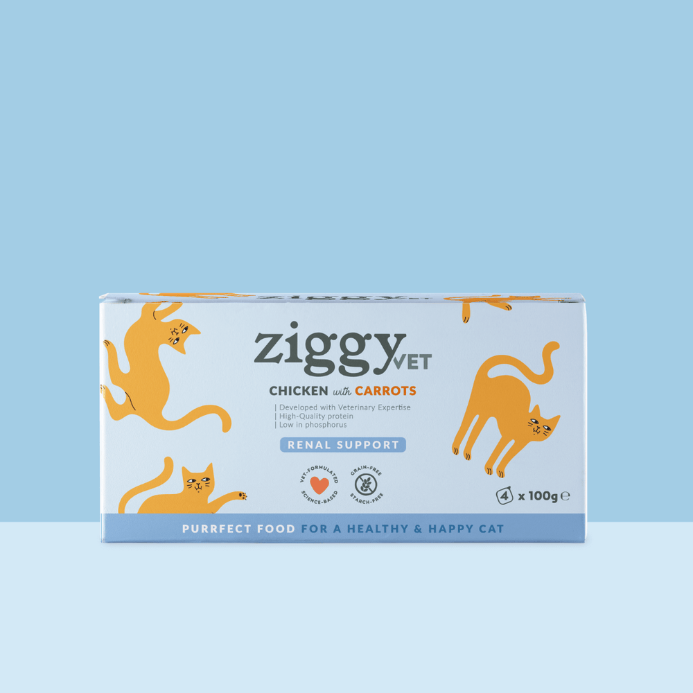 lot de 4 pâtées de 100g Ziggy Vet pour chat adulte souffrant d'IRC (insuffisance rénale chronique)