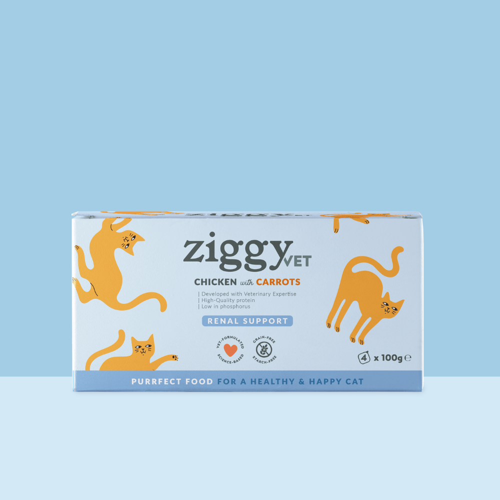 lot de 4 pâtées de 100g Ziggy Vet pour chat adulte souffrant d'IRC (insuffisance rénale chronique)