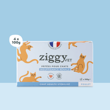 Lot de 4 pâtées de 100g Ziggy pour chat adulte souffrant d'insuffisance rénale chronique (IRC), saines et sans céréales