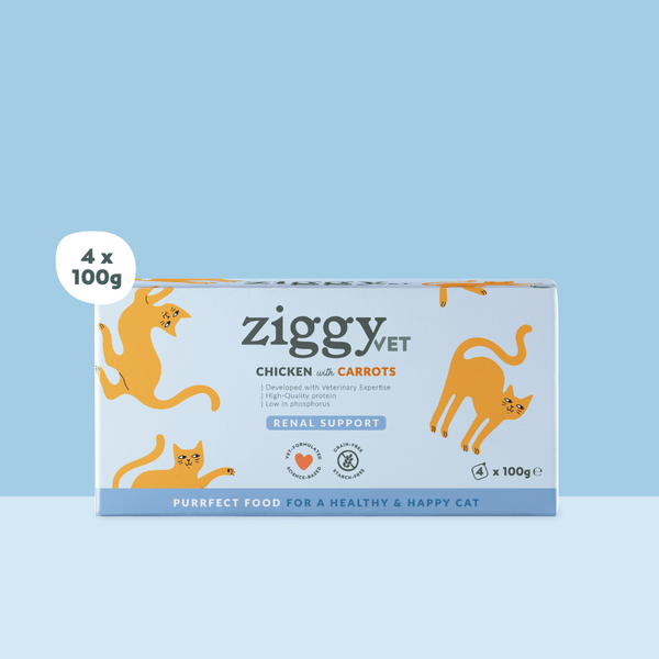 Barquette de 100g de pâtée Ziggy Vétérinaire pour chat adulte IRC insuffisance rénale chronique