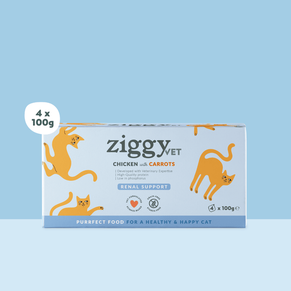Barquette de 100g de pâtée Ziggy Vétérinaire pour chat adulte IRC insuffisance rénale chronique