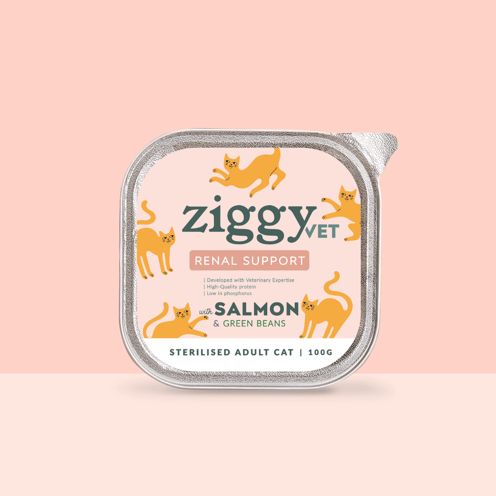 Barquette de pâtée pour chat en insuffisance rénale Chronique (IRC) au saumon de la marque Ziggy