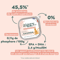 Composition analytique de la pâtée pour chat en insuffisance rénale Chronique (IRC) au saumon Ziggy