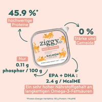 Fütterungsempfehlung für Ziggy Nieren-Nassfutter mit Lachs für Katzen