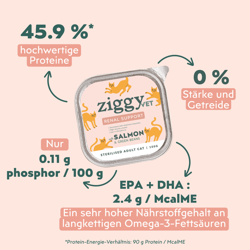 Fütterungsempfehlung für Ziggy Nieren-Nassfutter mit Lachs für Katzen