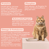 Zutatenliste von Ziggy Nieren-Nassfutter mit Lachs für Katzen, aus natürlichen Zutaten