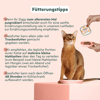Ziggy Nassfutter für die Harnwegsgesundheit von Katzen, 4×100g – 1er-Packung