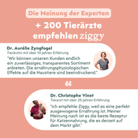 Von Tierärzten empfohlenes Ziggy Nieren-Nassfutter mit Lachs für Katzen