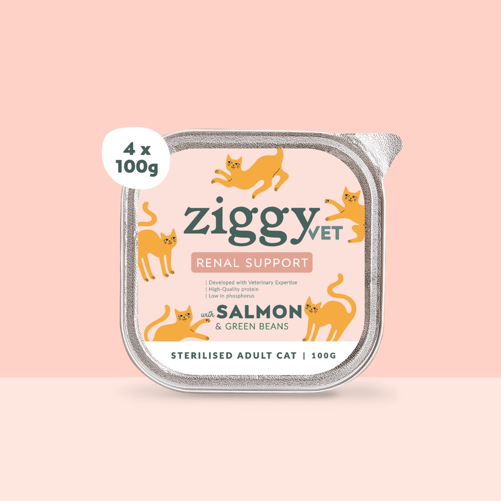 Lot de 4 pâtées pour chat en insuffisance rénale Chronique (IRC) au saumon Ziggy