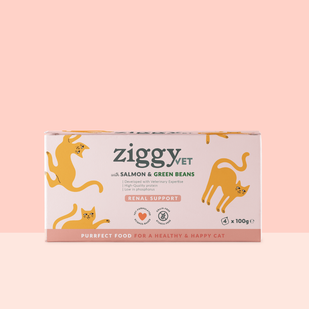 Lot de 4 pâtées pour chat en insuffisance rénale Chronique (IRC) au saumon Ziggy