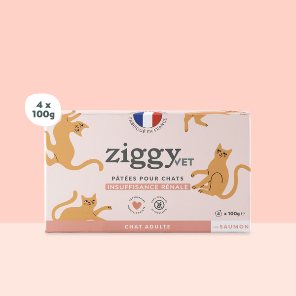 Barquette de pâtée pour chat en insuffisance rénale Chronique (IRC) au saumon de la marque Ziggy